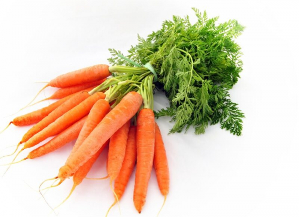 Полезные свойства и противопоказания моркови